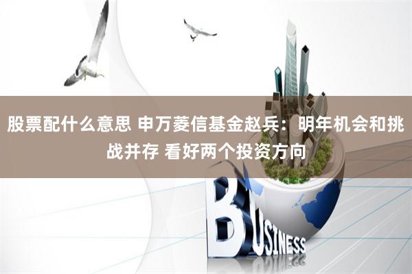 股票配什么意思 申万菱信基金赵兵：明年机会和挑战并存 看好两个投资方向