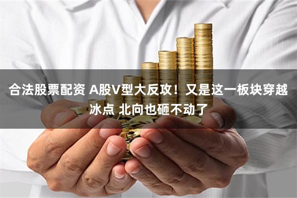 合法股票配资 A股V型大反攻！又是这一板块穿越冰点 北向也砸不动了