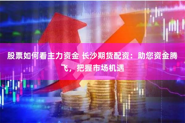 股票如何看主力资金 长沙期货配资：助您资金腾飞，把握市场机遇